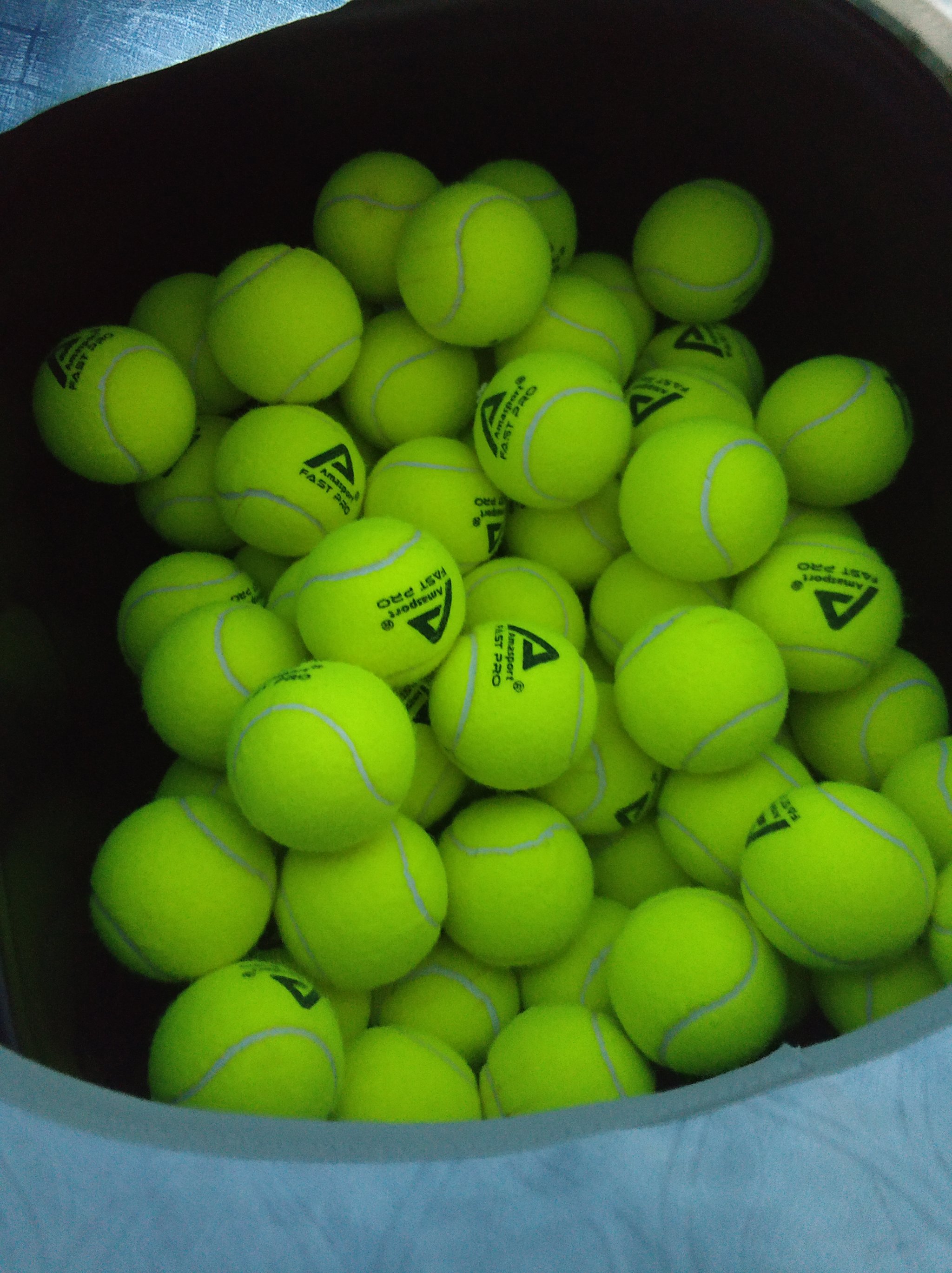 他们数次利 他们数次利